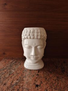 buddha planter